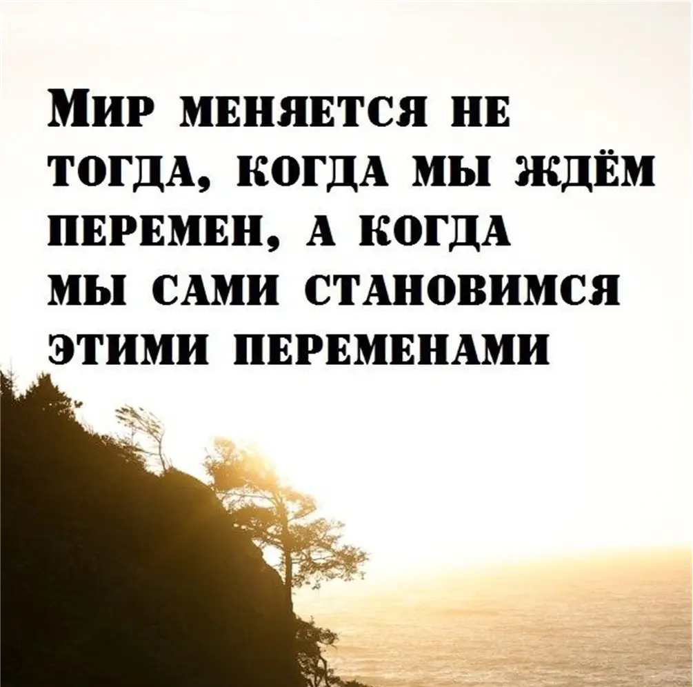 1754286966942.webp