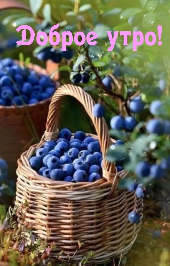 1754372275787.webp