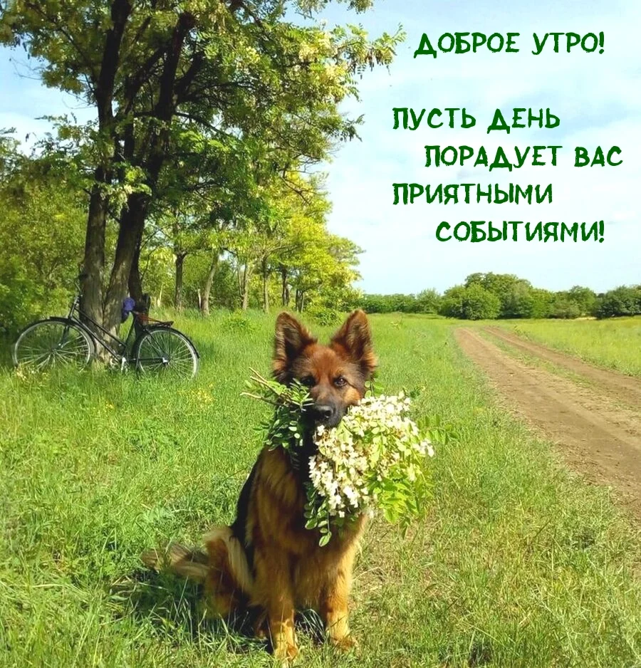 1754454831331.webp