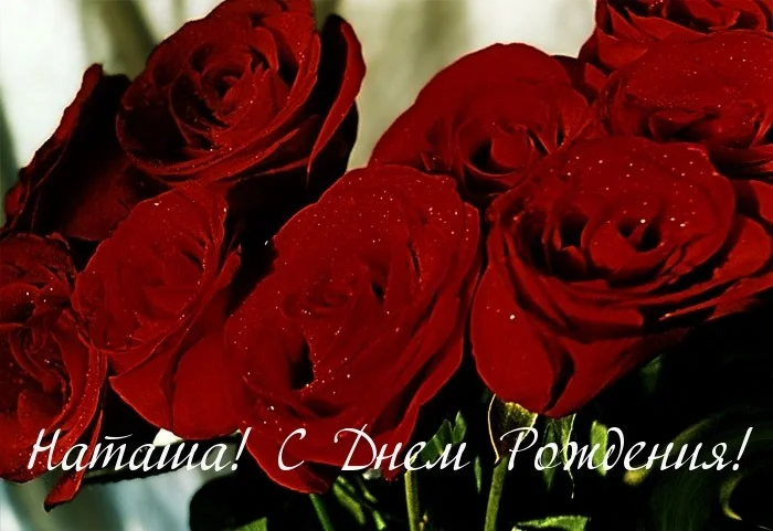 1754536065725.webp