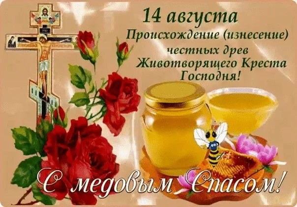 1755161940184.webp