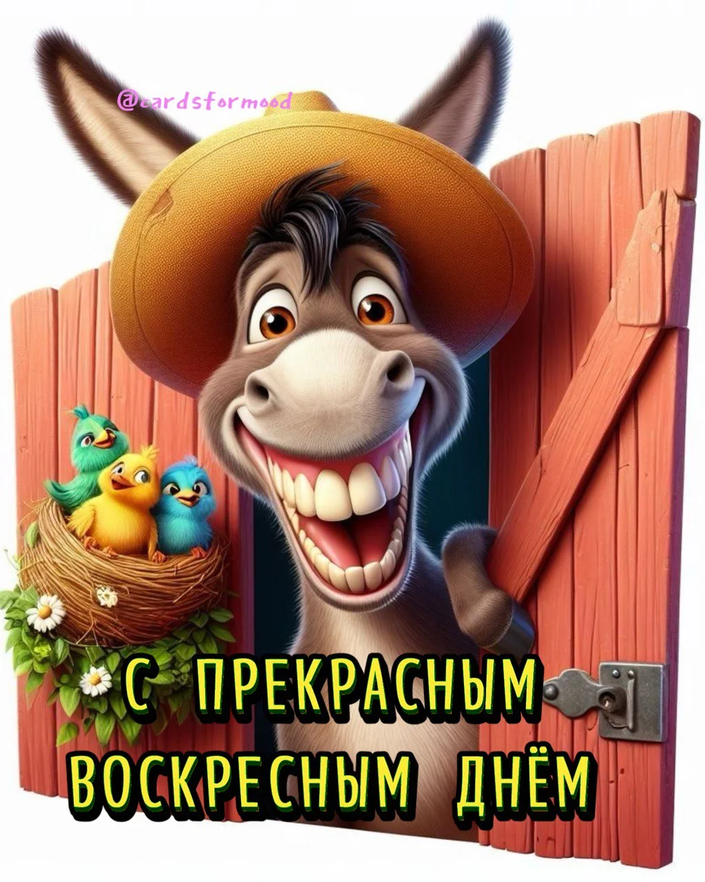 1755412058822.webp