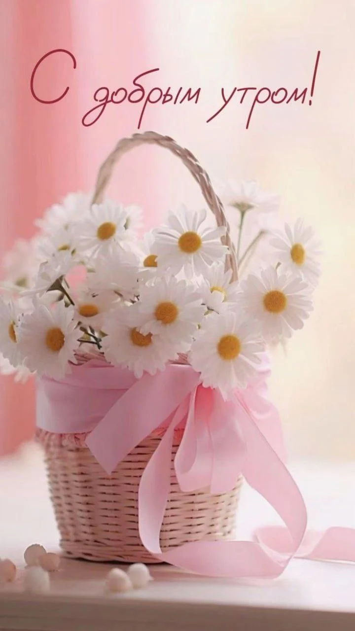1755453763503.webp
