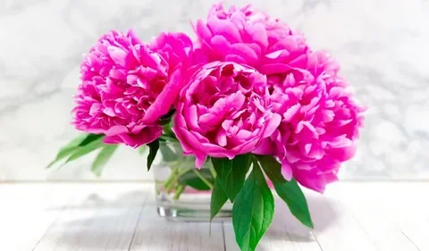 1755699352705.webp