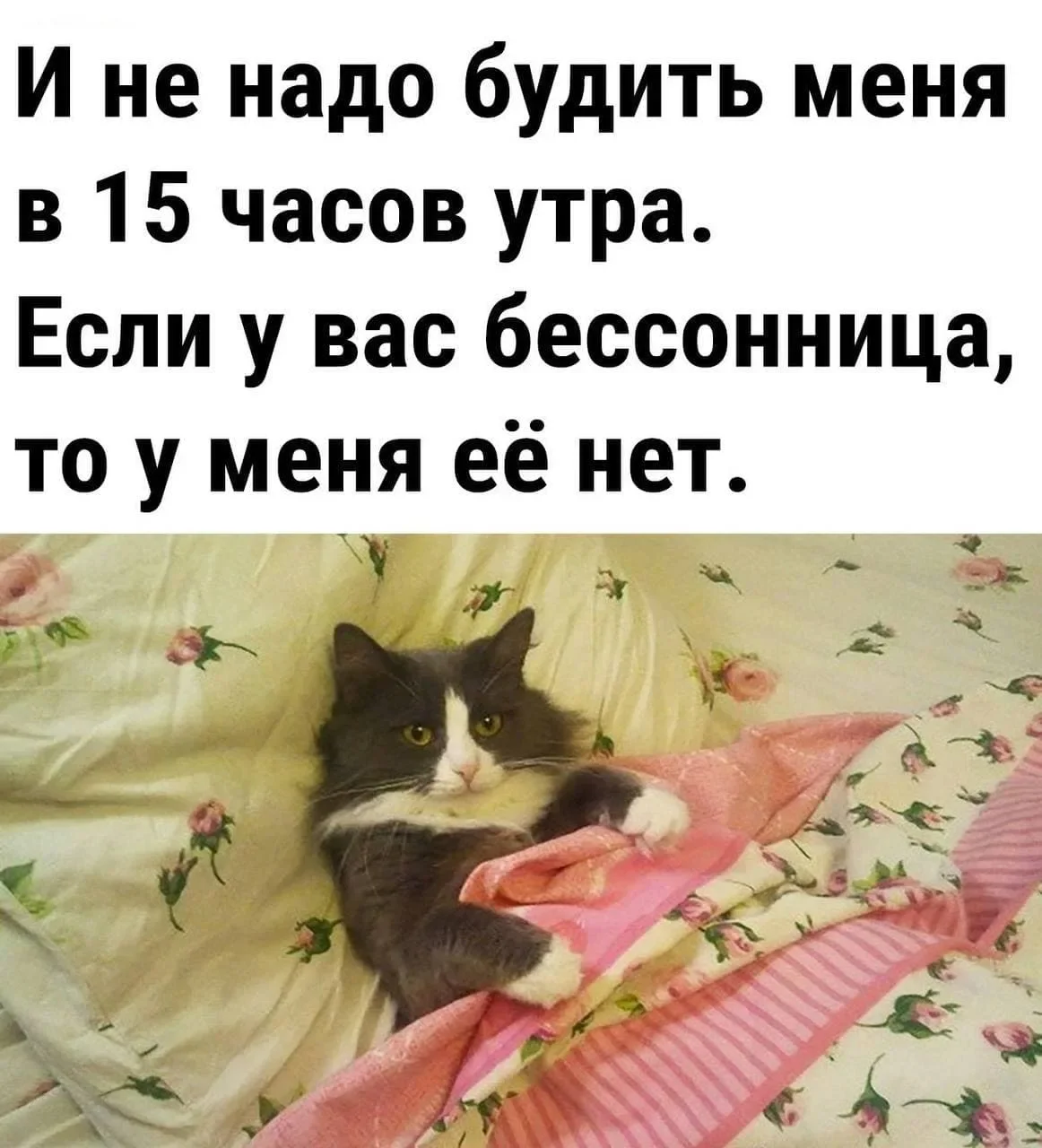 1756295525404.webp