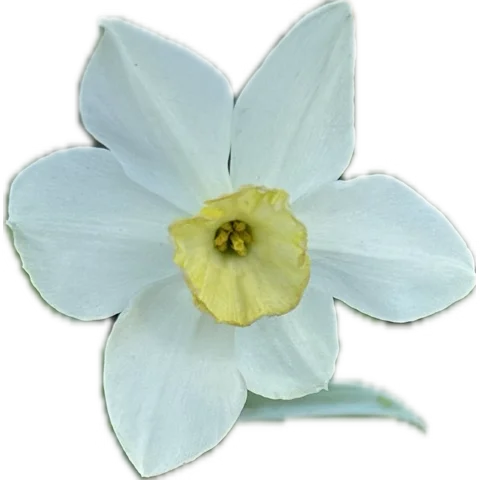 1756701912083.webp