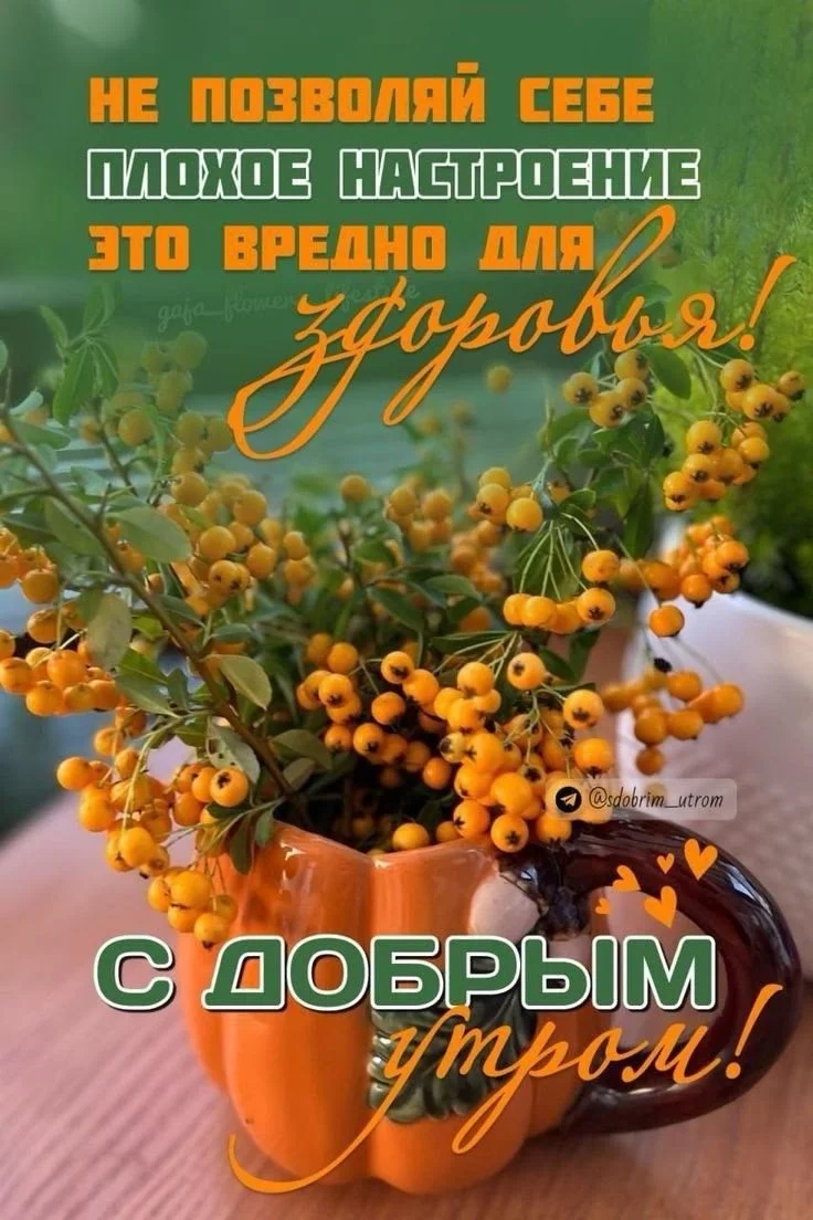 1757052952786.webp