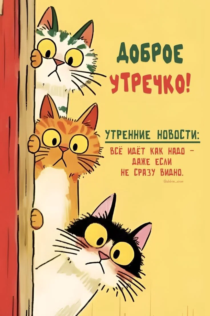 1757838898053.webp