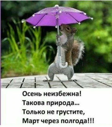 1757fb6ca0b748a6460be22e5de7bd36 (1).webp