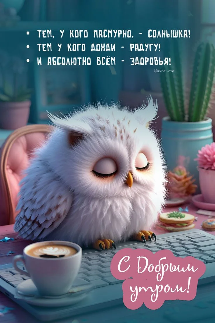 1758044924917.webp