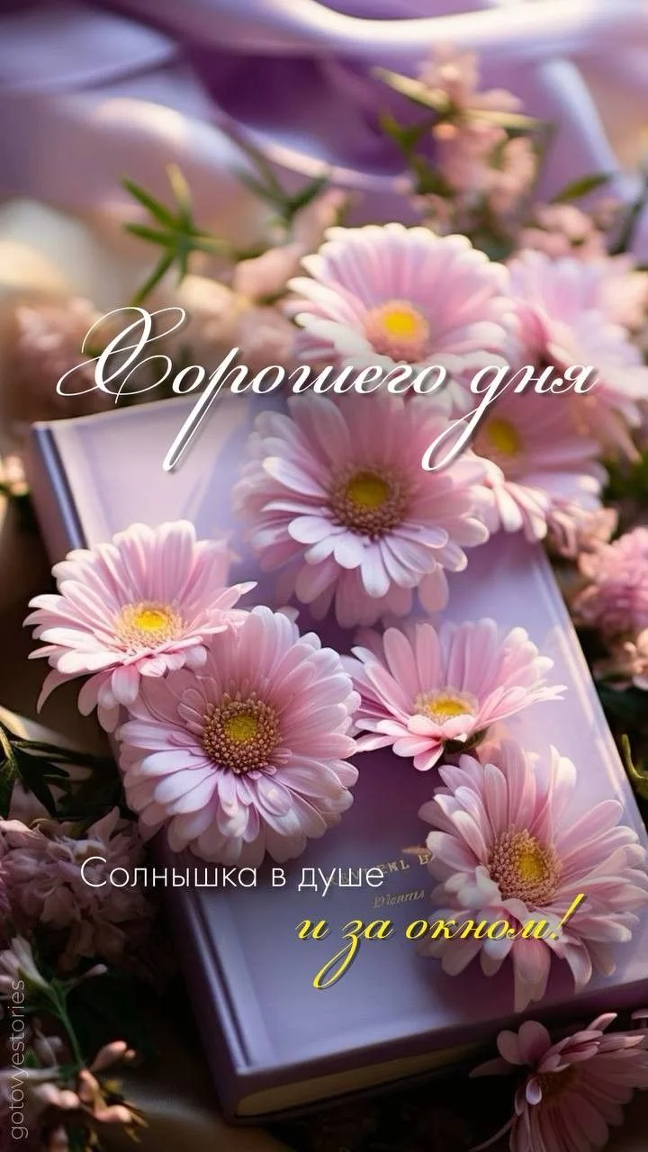 1758367194024.webp