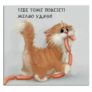 1758566057441.webp