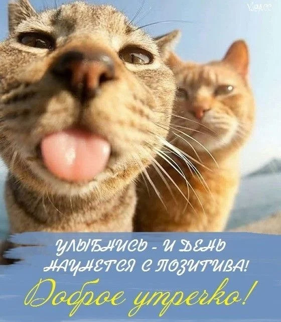 1758600727207.webp
