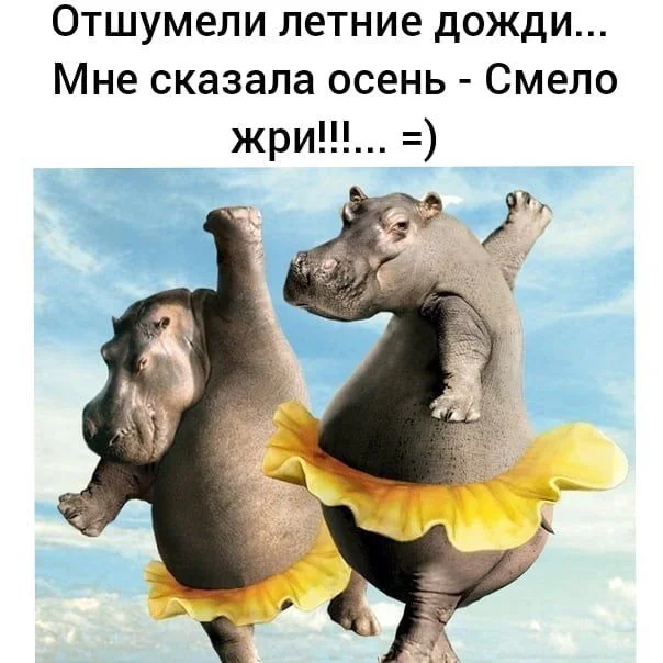1758609020590.webp