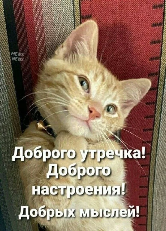 1759126006483.webp