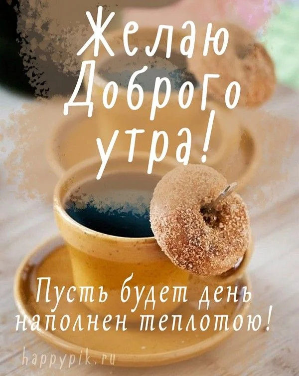 1759168166897.webp