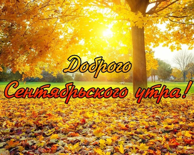 1759207623711.webp