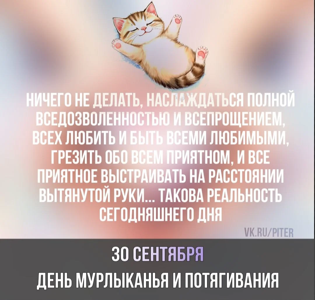 1759213675460.webp