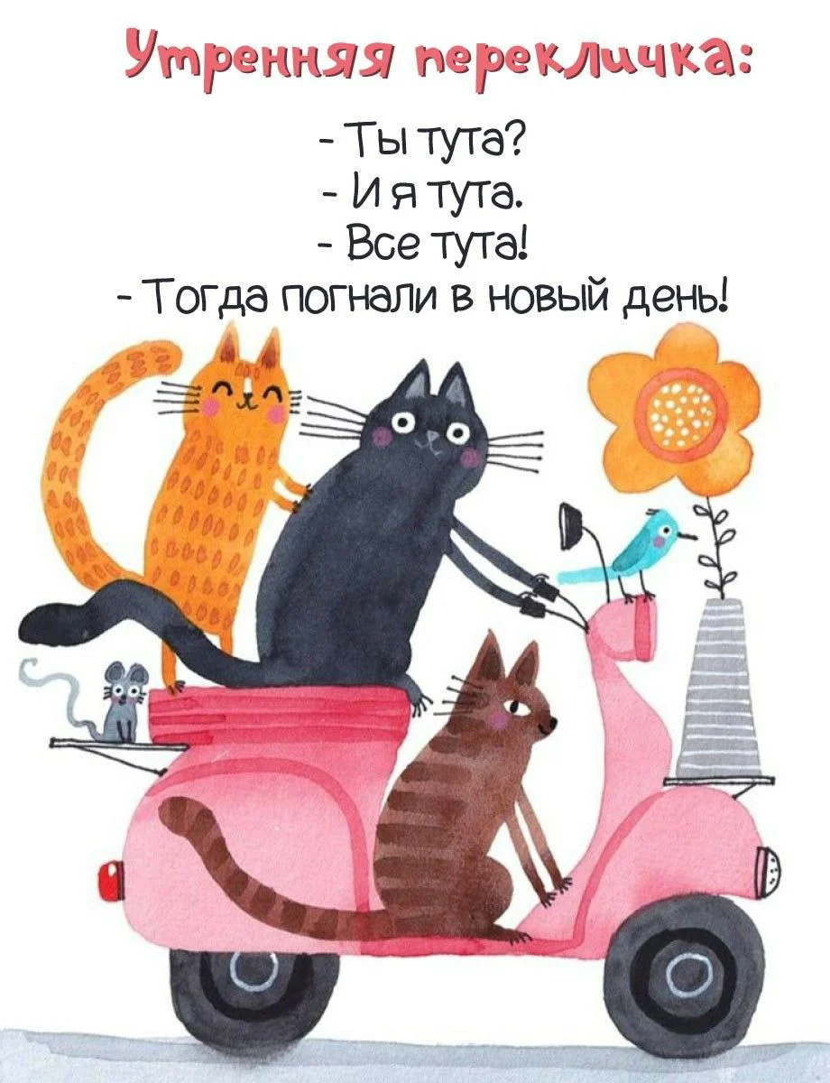 1759227321453.webp