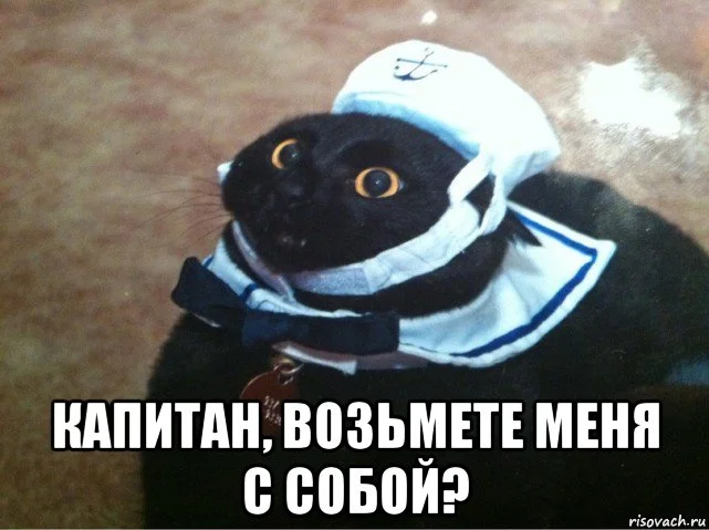 1759503429001.webp