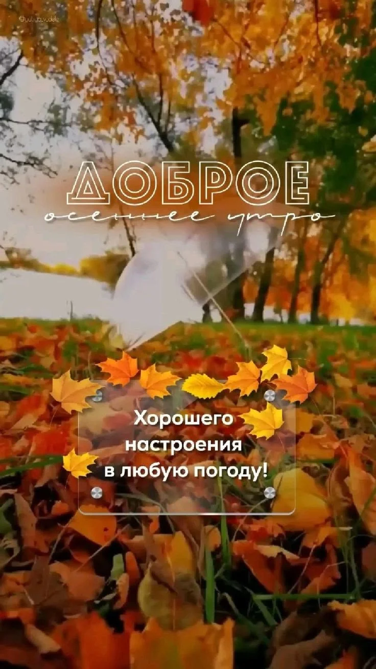 1759551342615.webp