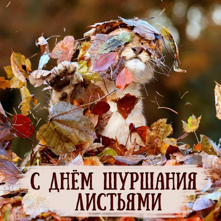 1760082646469.webp