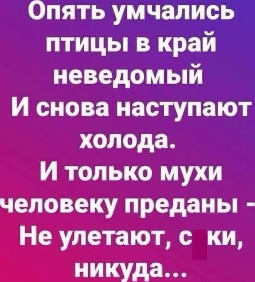 1760645134716.webp