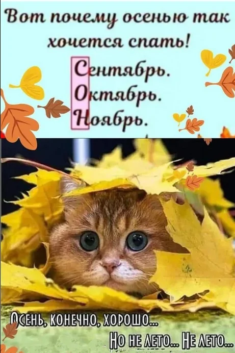 1760769218639.webp