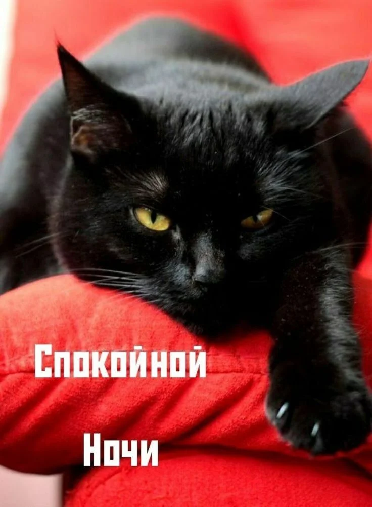 1760814315033.webp
