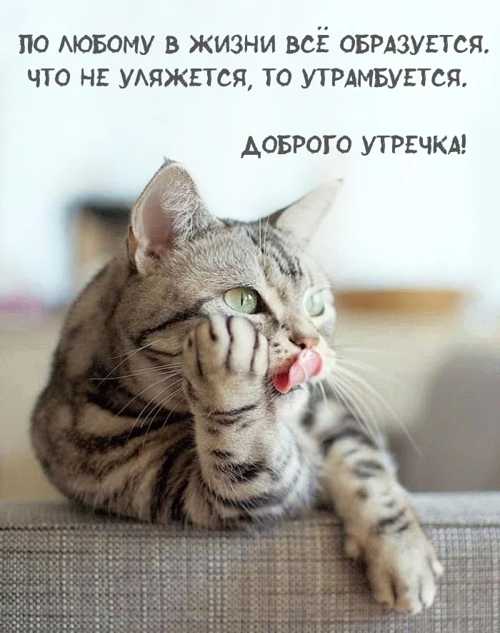 1760848649345.webp
