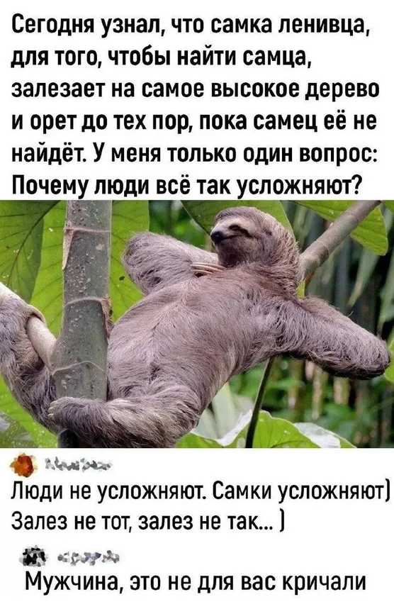 1760882952383.webp
