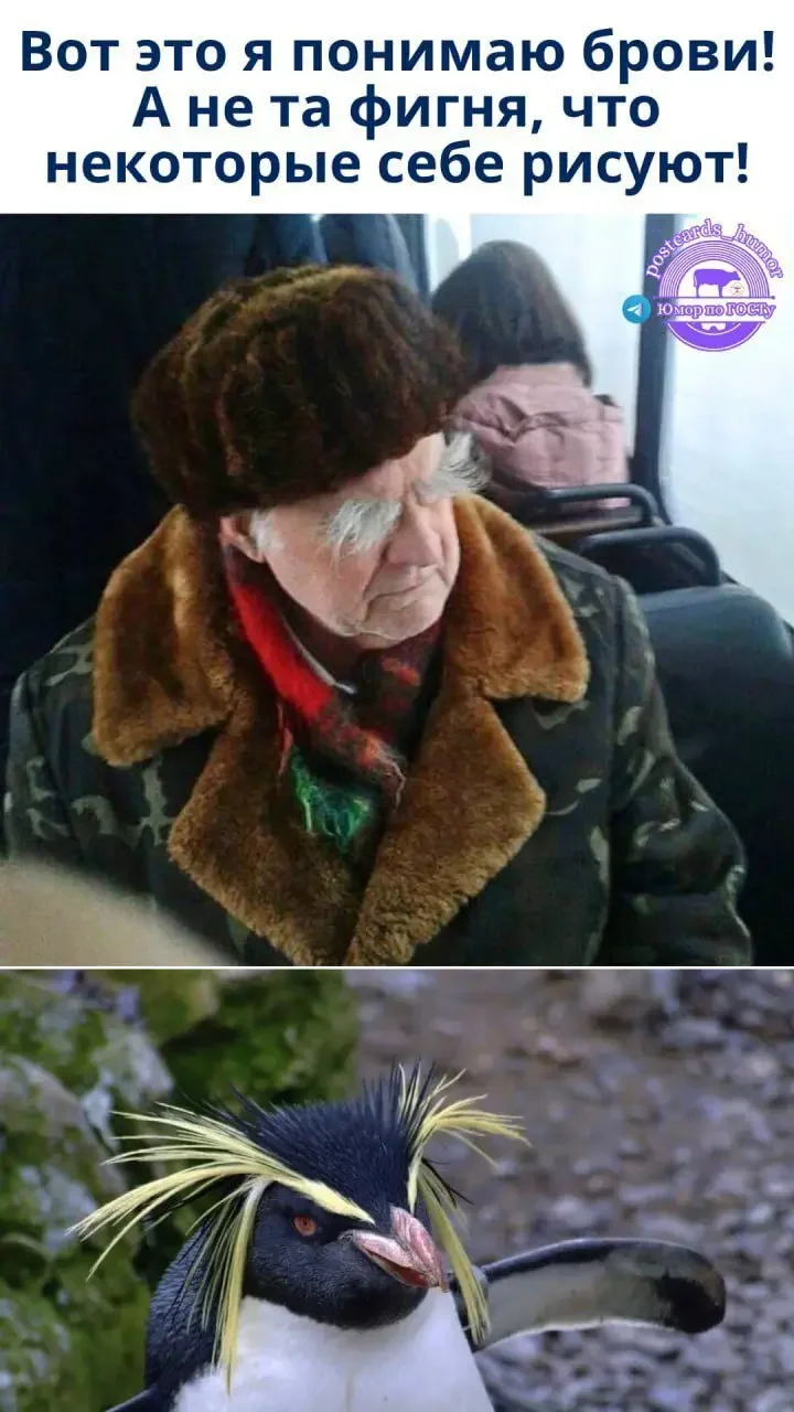 1760892446158.webp
