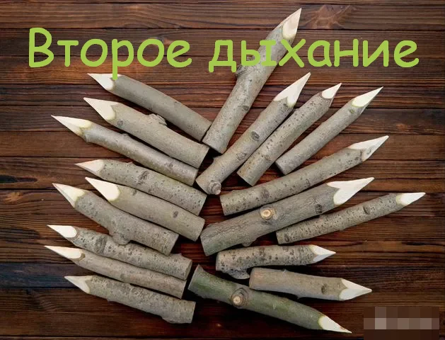 1760965186444.webp