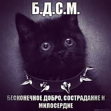 1761053840631.webp