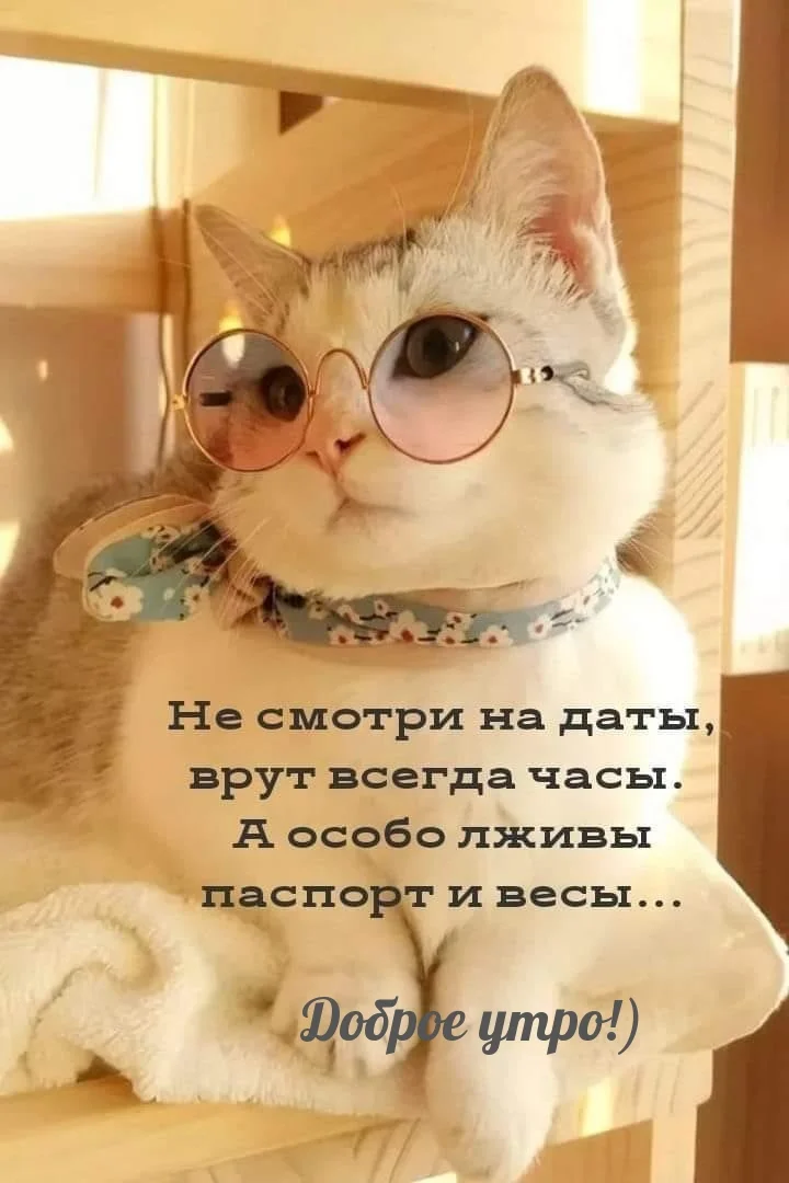 1761107888611.webp