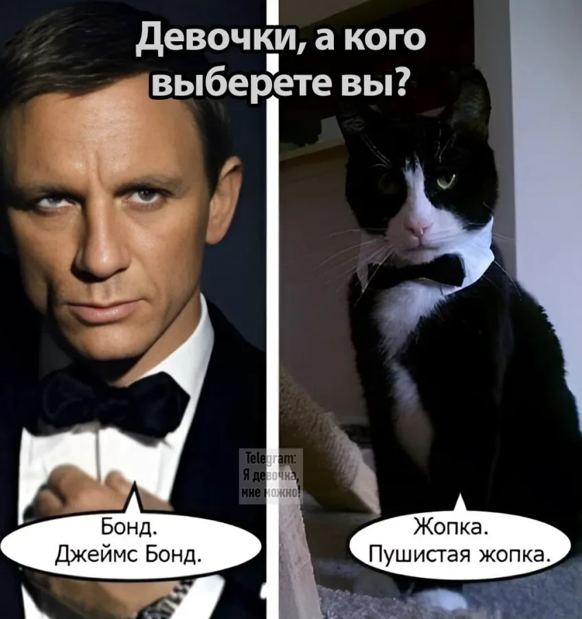 1761155869690.webp
