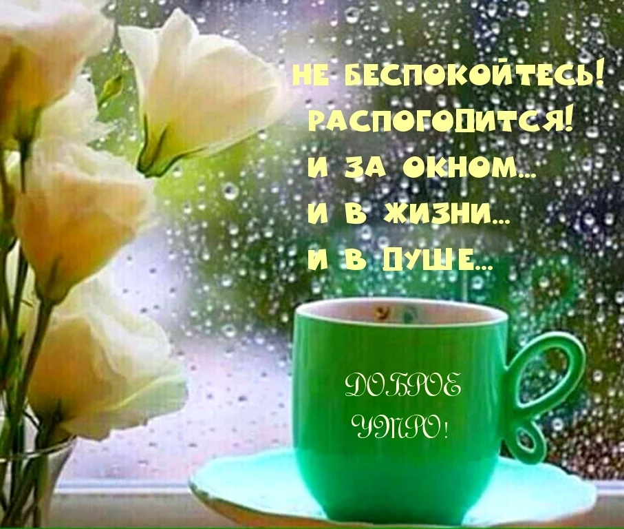 1761192696022.webp