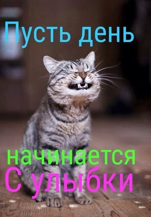 1761198044782.webp
