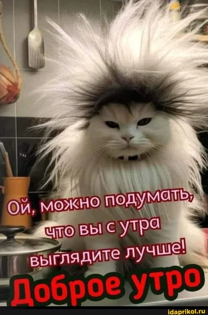 1761279799042.webp