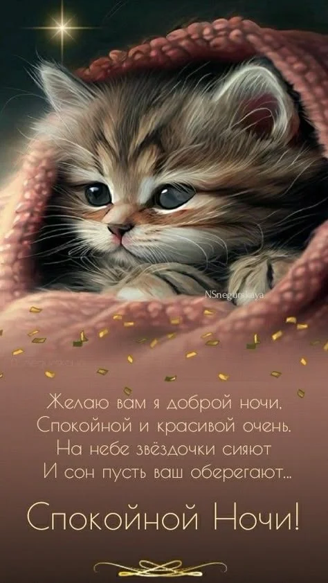 1761328747286.webp