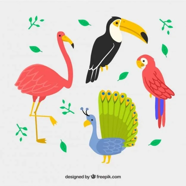 1761330308416.webp