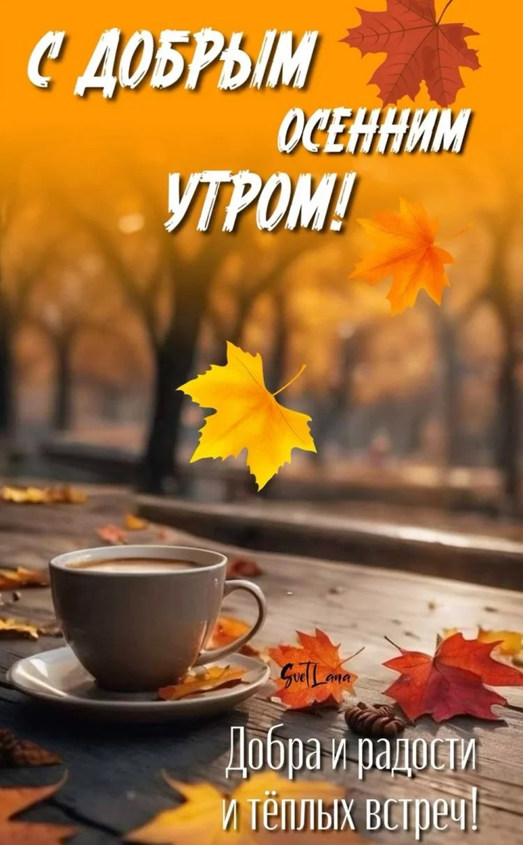1761366406631.webp