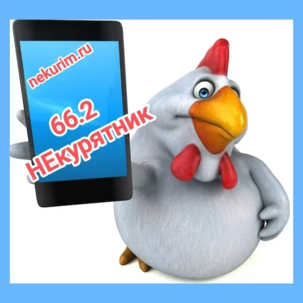 1761399597585.webp