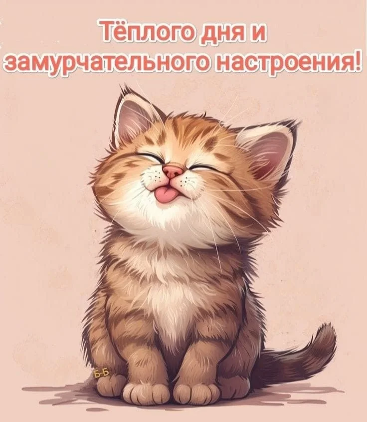 1761455056427.webp