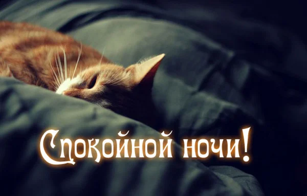 1761592177961.webp