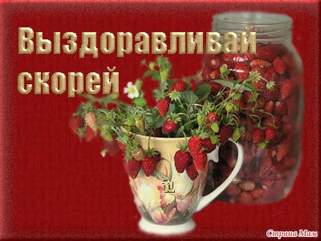17734272_21993.webp