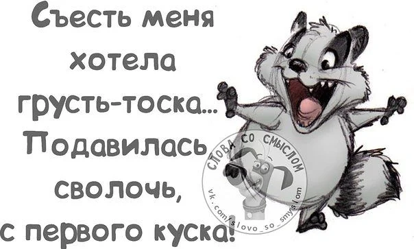 17823050_230f22cd20397d821d0442c027300104_800.webp