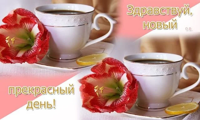 17823050_f2b2383ccbf30f2e9a72ace849685280_800 (1).webp