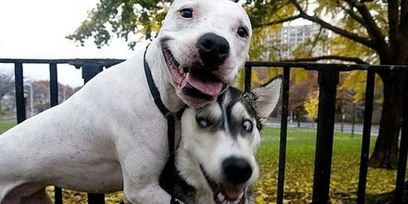 178752_373951 (2).webp