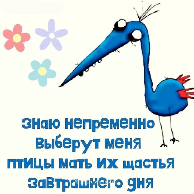 17b0c509d8995de1a517163781bdff8b.webp